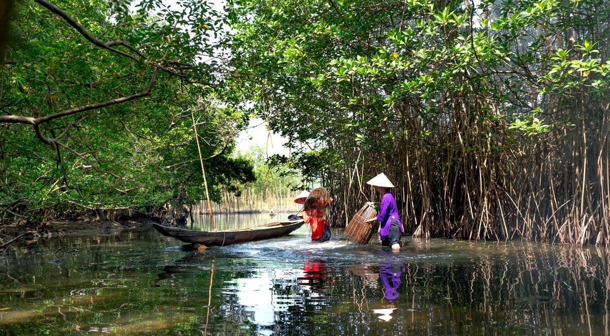 Warga pesisir menangkap ikan di area mangrove