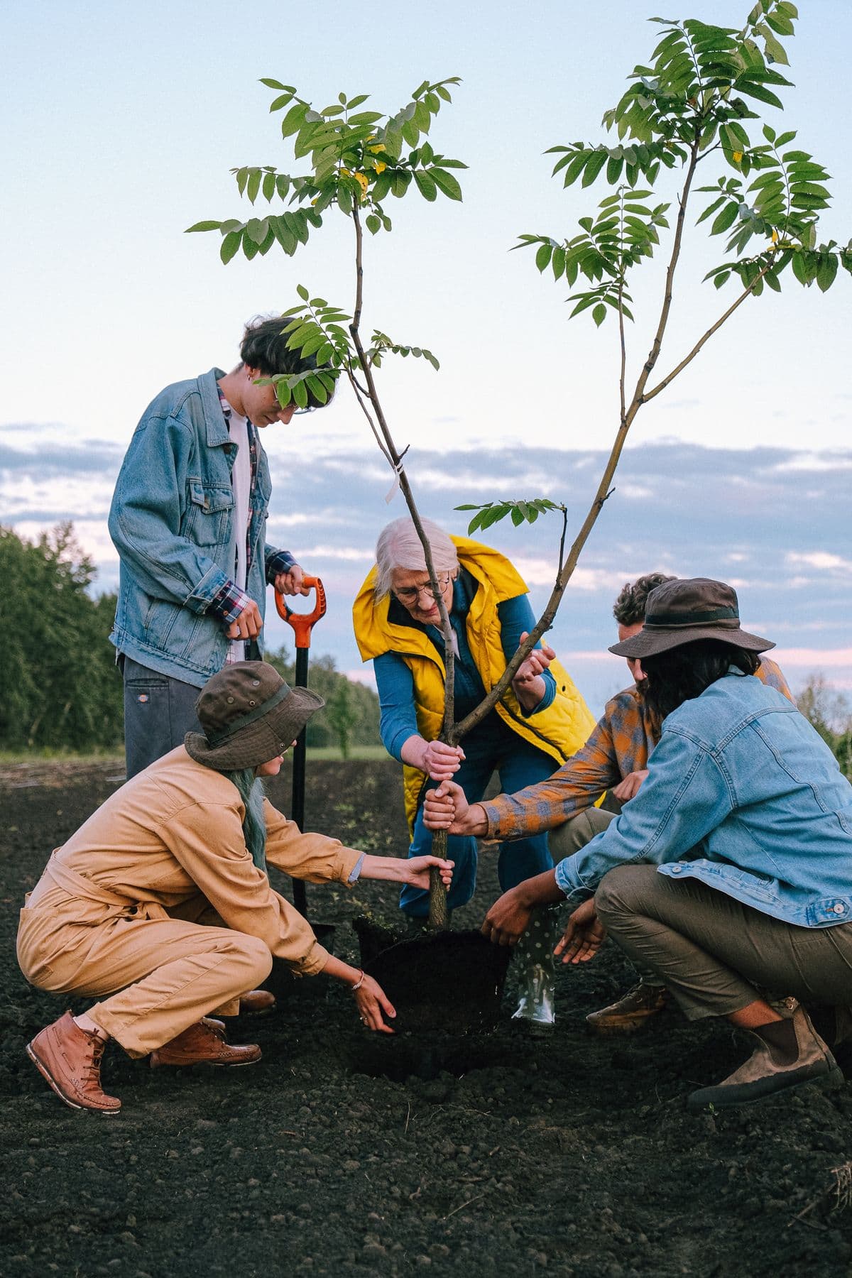 Relawan menanam mangrove bersama